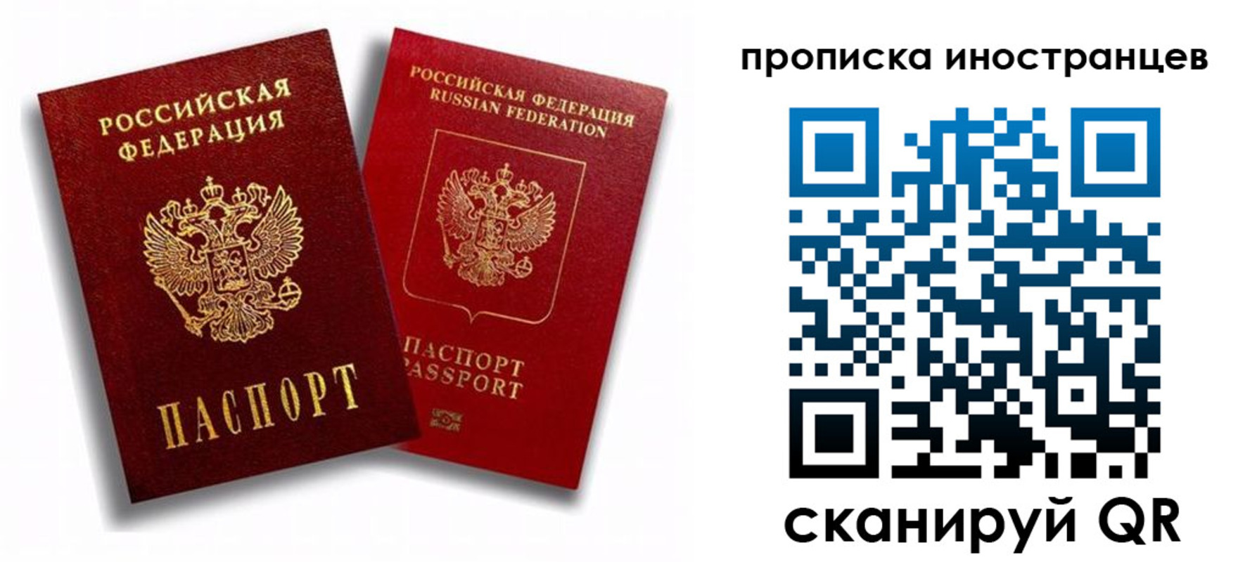 прописка паспорт в Светогорске